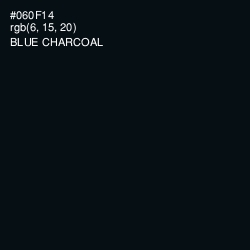 #060F14 - Blue Charcoal Color Image
